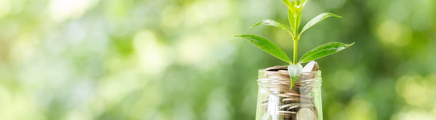 Plant growing from coins — invest in the future of small business support